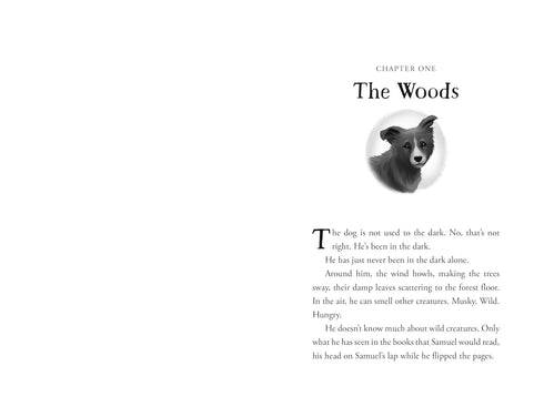 THE UNLIKELY TALE OF CHASE AND FINNEGAN - WARGA. JASMINE