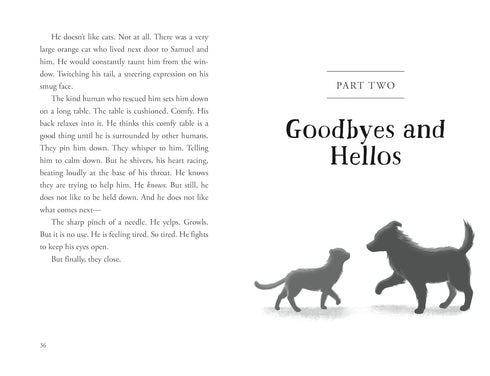 THE UNLIKELY TALE OF CHASE AND FINNEGAN - WARGA. JASMINE