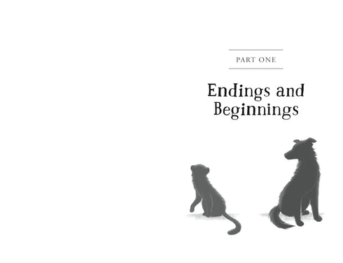 THE UNLIKELY TALE OF CHASE AND FINNEGAN - WARGA. JASMINE