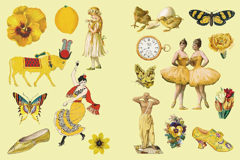 THE ATNTIQUARIAN STICKER BOOK: IMAGINARIUM - ODD DOT