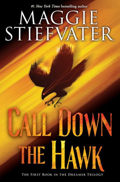 CALL DOWN THE HAWK (THE DREAMER TRILOGY, BOOK 1) - STIEFVATER, MAGGIE