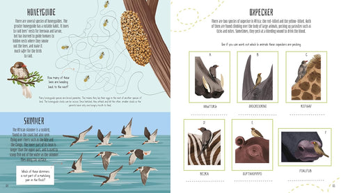 BIRDS OF THE WORLD ACTIVITY BOOK - REGAN. LISA