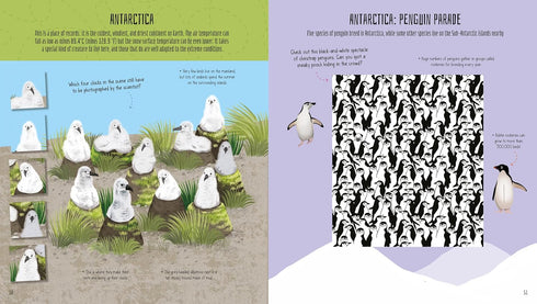 BIRDS OF THE WORLD ACTIVITY BOOK - REGAN. LISA