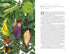 AROUND THE WORLD IN 80 PLANTS - DRORI. JONATHAN; CLERC. LUCILLE