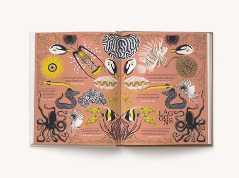 NATURE: DISCOVER THE WORLD'S WONDERFUL HABITATS - BUCCIARELLI. MANON