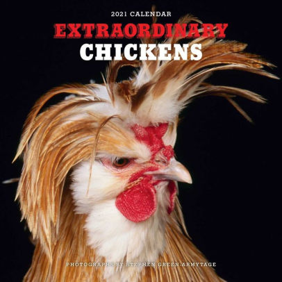 EXTRAORDINARY CHICKENS 2021 WALL CALENDAR