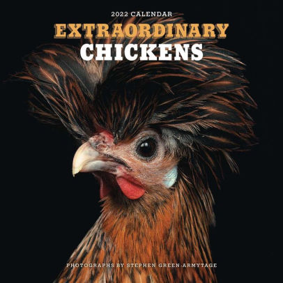 EXTRAORDINARY CHICKENS 2022 WALL CALENDAR