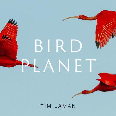 BIRD PLANET: A PHOTOGRAPHIC JOURNEY - LAMAN, TIM