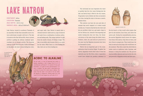 SPOOKY LAKES25 STRANGE & MYSTERIOUS LAKES - RUTHERFORD. GEO