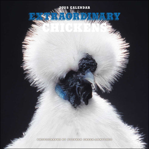 EXTRAORDINARY CHICKENS 2025 WALL CALENDAR