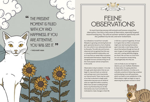 MYSTIC KITTY: A CAT'S GUIDE TO MEDITATION - OULA. VALERIA; CORREA THIAGO