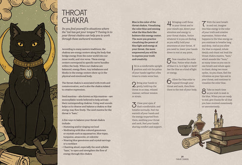 MYSTIC KITTY: A CAT'S GUIDE TO MEDITATION - OULA. VALERIA; CORREA THIAGO