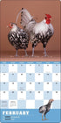 EXTRAORDINARY CHICKENS 2026 WALL CALENDAR