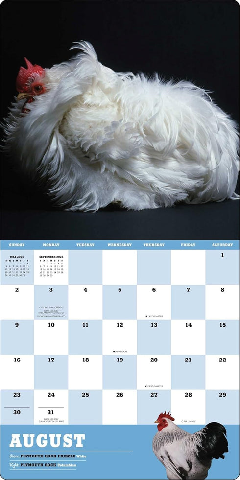 EXTRAORDINARY CHICKENS 2026 WALL CALENDAR