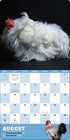 EXTRAORDINARY CHICKENS 2026 WALL CALENDAR