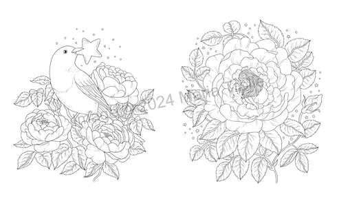 SHOOTING STAR - TROLLE. MARIA