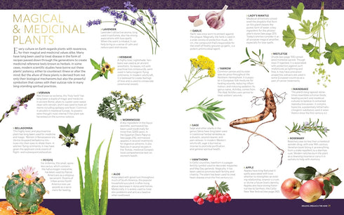 NATIONAL GEOGRAPHIC BOOK OF MAGIC AND THE OCCULT: A VISUAL HISTORY