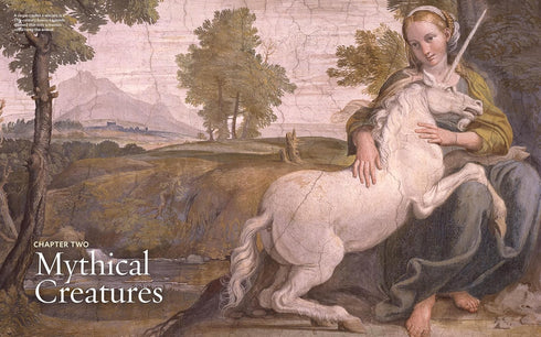 NATIONAL GEOGRAPHIC BOOK OF MAGIC AND THE OCCULT: A VISUAL HISTORY