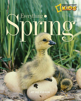 EVERYTHING SPRING - ESBAUM. JILL