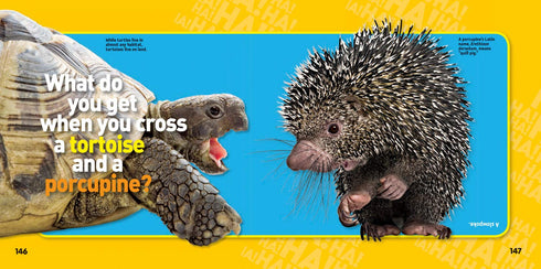 JUST JOKING: 300 HILARIOUS JOKES, TRICKY TONGUE TWISTERS, & RIDICULOUS RIDDLES