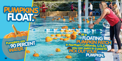 WEIRD BUT TRUE HALLOWEEN: 300 SPOOKY FACTS TO SCARE YOU SILLY - BEER. JULIE