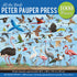 ALL THE BIRDS 1,000 PIECE JIGSAW PUZZLE - PETER PAUPER PRESS INC