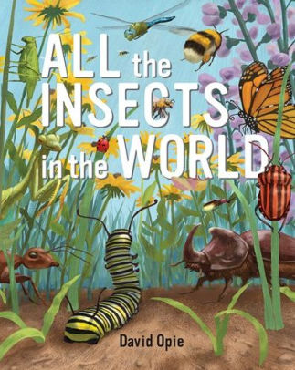 ALL THE INSECTS IN THE WORLD - OPIE. DAVID