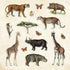 ZOOLOGICAL EPHEMERA STICKER BOOK - PETER PAUPER PRESS