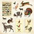 ZOOLOGICAL EPHEMERA STICKER BOOK - PETER PAUPER PRESS
