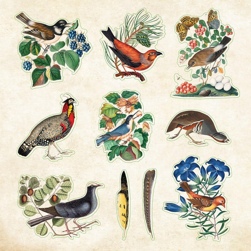 ZOOLOGICAL EPHEMERA STICKER BOOK - PETER PAUPER PRESS