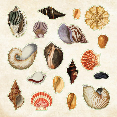 POSEIDON'S KINGDOM STICKER BOOK - PETER PAUPER PRESS