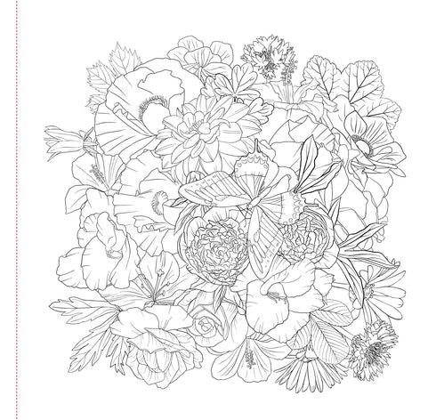 WILDFLOWERS ADULT COLORING BOOK - PETER PAUPER PRESS, INC.