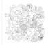 WILDFLOWERS ADULT COLORING BOOK - PETER PAUPER PRESS, INC.