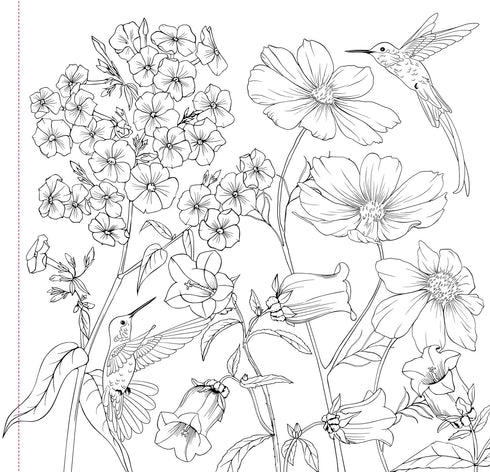 WILDFLOWERS ADULT COLORING BOOK - PETER PAUPER PRESS, INC.