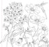 WILDFLOWERS ADULT COLORING BOOK - PETER PAUPER PRESS, INC.