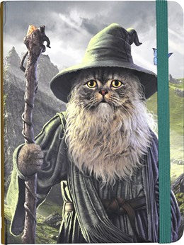 CATDALF JOURNAL - HIE. VINCENT