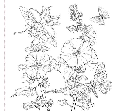 GOTH GARDEN COLORING BOOK - PETER PAUPER PRESS, INC.