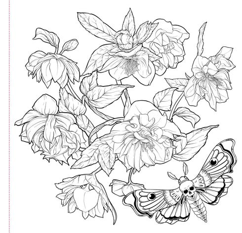 GOTH GARDEN COLORING BOOK - PETER PAUPER PRESS, INC.