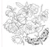 GOTH GARDEN COLORING BOOK - PETER PAUPER PRESS, INC.