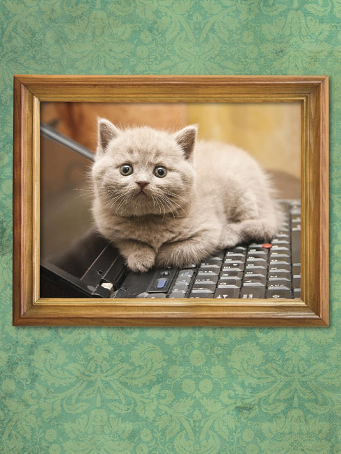 I COULD PEE ON THIS: AND OTHER POEMS BY CATS - MARCIULIANO. FRANCESO