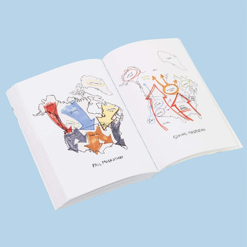 THE FIELD GUIDE TO DUMB BIRDS OF NORTH AMERICA - KRACHT. MATT