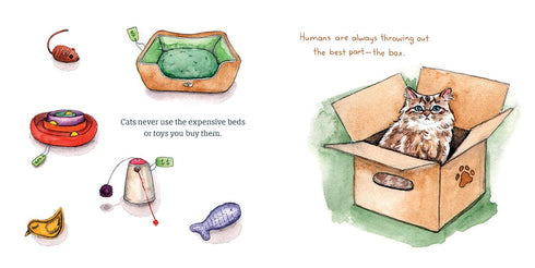 CATS ARE THE WORST - KOTT. MEAGAN LYNN; MCFLY, BEXY