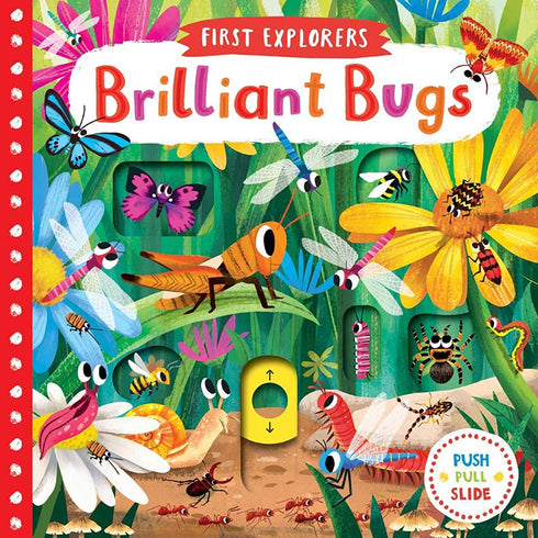 BRILLIANT BUGSBOARD BOOK