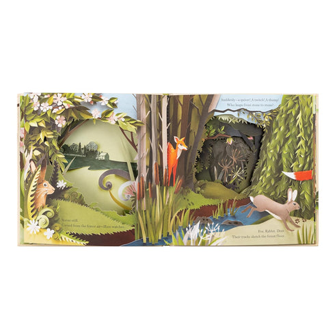 A WALK THROUGH THE WOODS - GREIG. LOUISE; MUSSELWHITE. HELEN