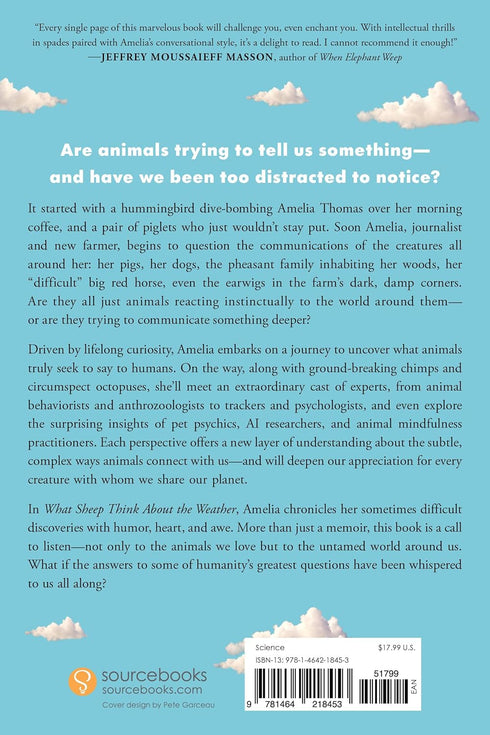 WHAT SHEEP THINK ABOUT THE WEATHER - THOMAS. AMELIA