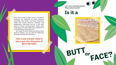 BUTT OR FACE? VOLUME 3: SUPER GROSS BUTTS - LAVELLE. KARI