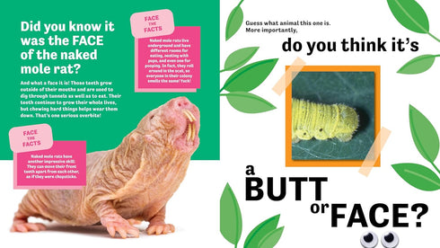 BUTT OR FACE? VOLUME 3: SUPER GROSS BUTTS - LAVELLE. KARI