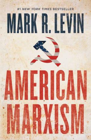 AMERICAN MARXISM - LEVIN. MARK