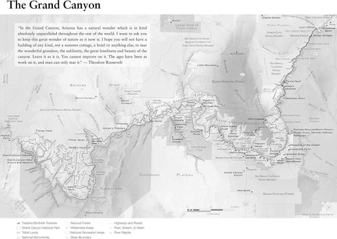 WALK IN THE PARK: THE TRUE STORY OF A SPECTACULAR MIDADVENTURE... - FEDARKO. KEV