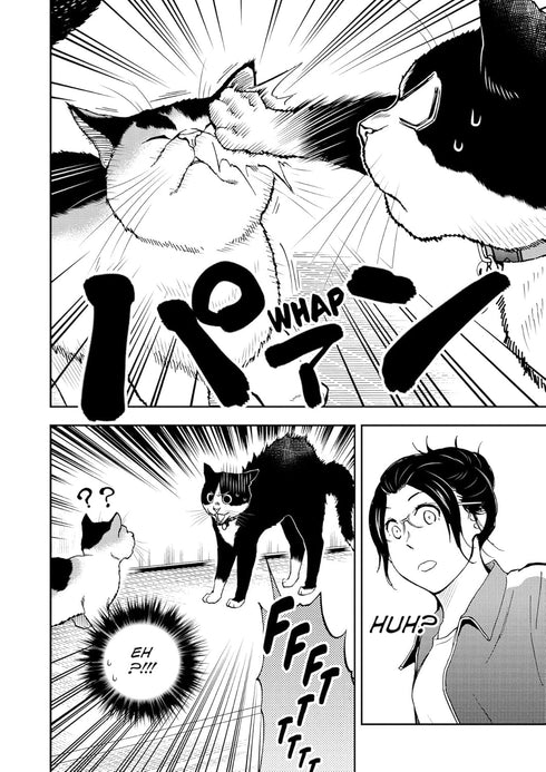 CAT + GAMER VOLUME 6 - NADATANI. WATARU